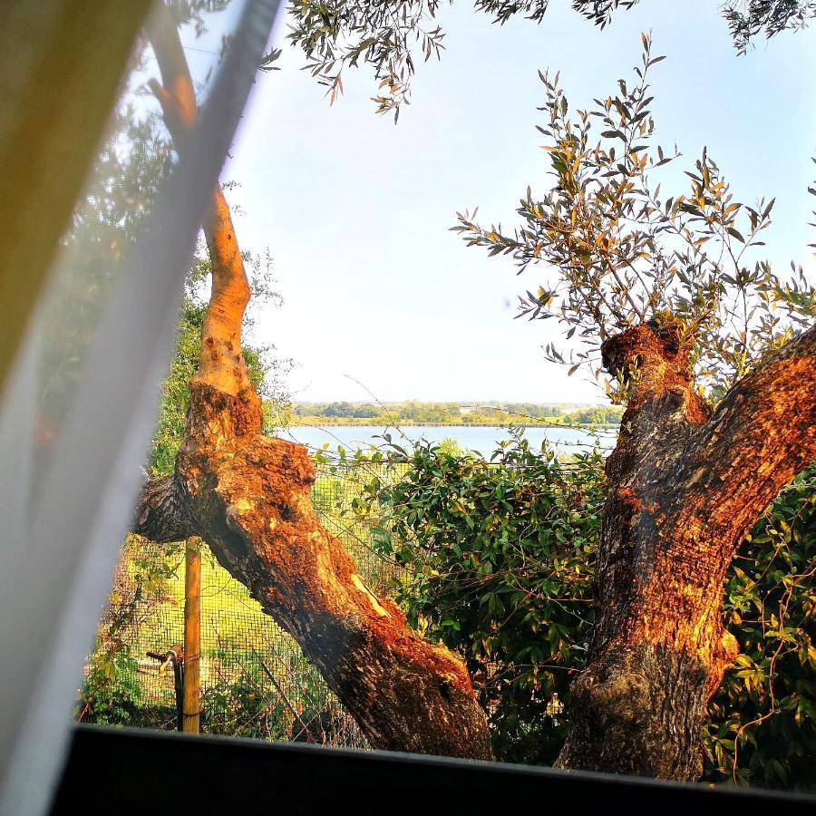 Sul Lago Dorato Terracina Exterior photo