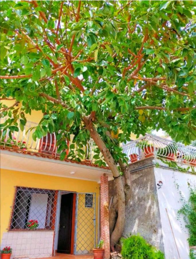 Sul Lago Dorato Terracina Exterior photo